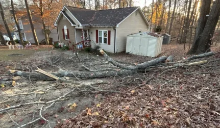 emergency storm damage removal fallen branches erwin nc