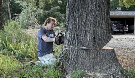 tree removal chainsaw trunk erwin nc