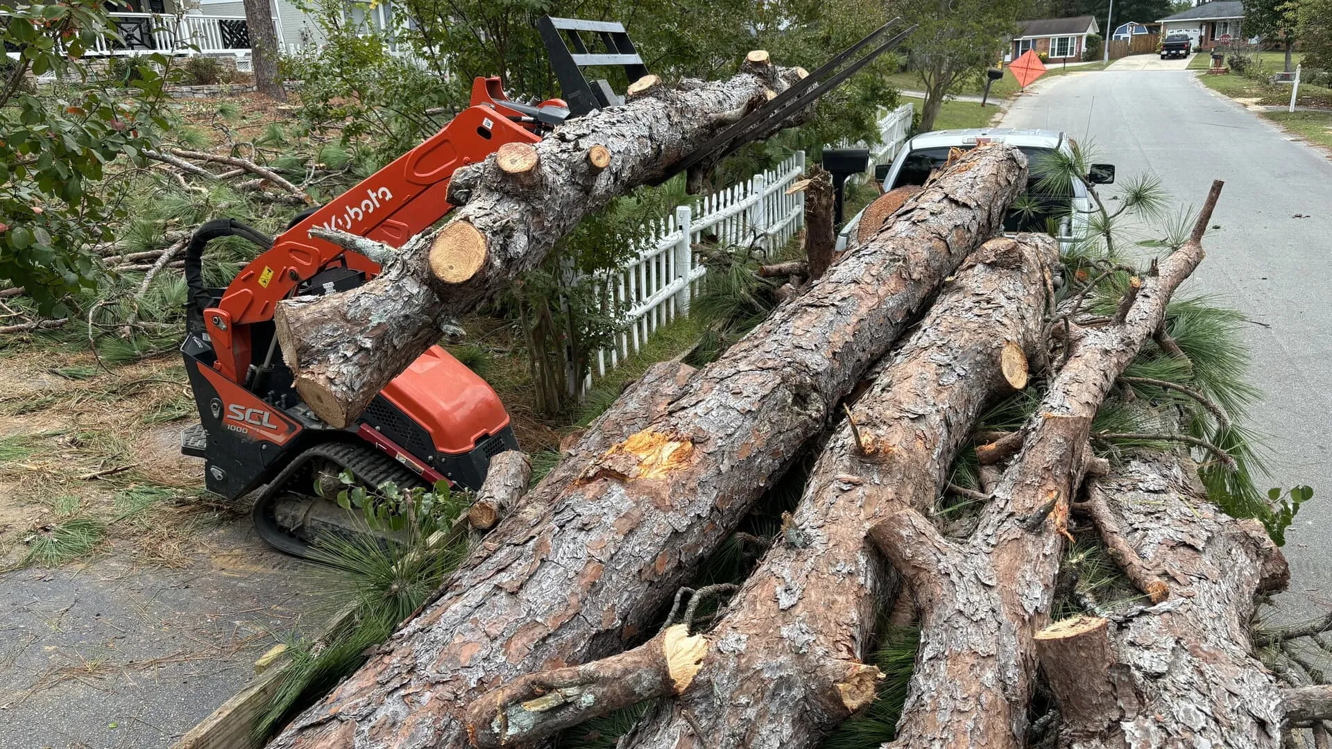 tree removal services logs placed on top erwin nc